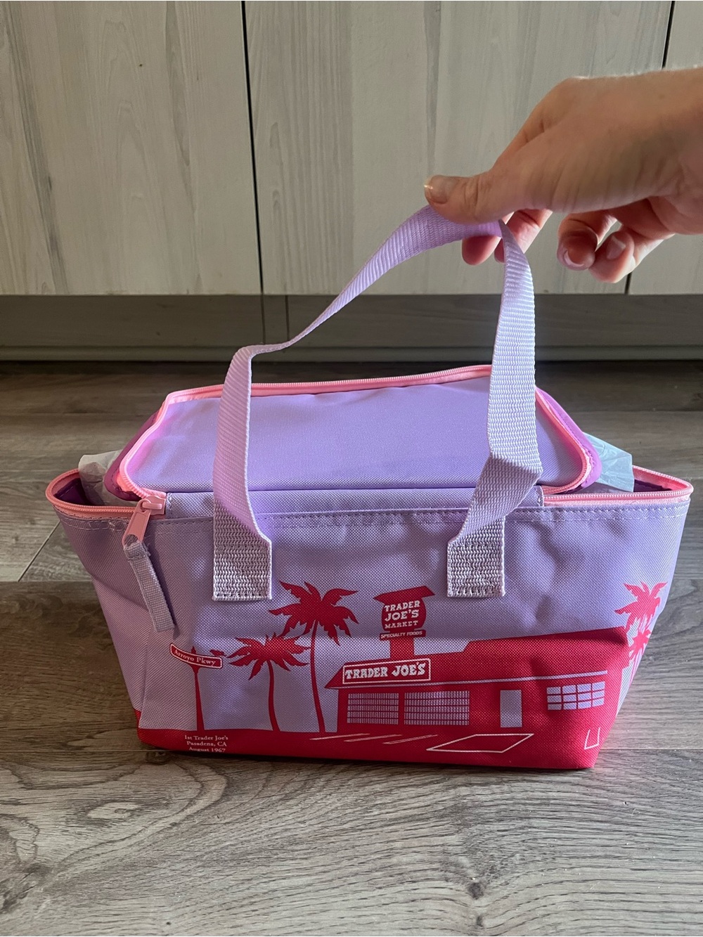 Trader Joe’s Purple and Pink Insulated Lunch Bag